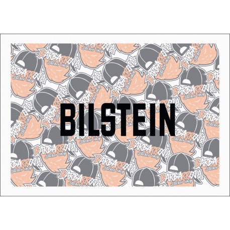 BILSTEIN