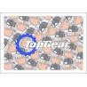 TOP GEAR