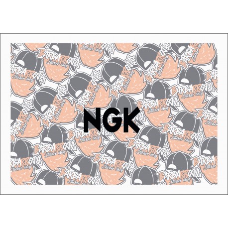 NGK NGK