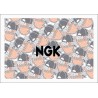 NGK