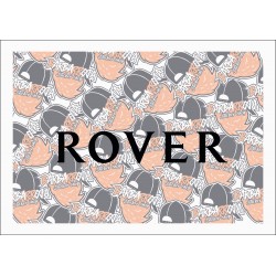 ROVER LETRAS