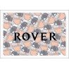 ROVER LETRAS