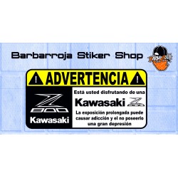 Pegatina advertencia kawasaki z 800  02