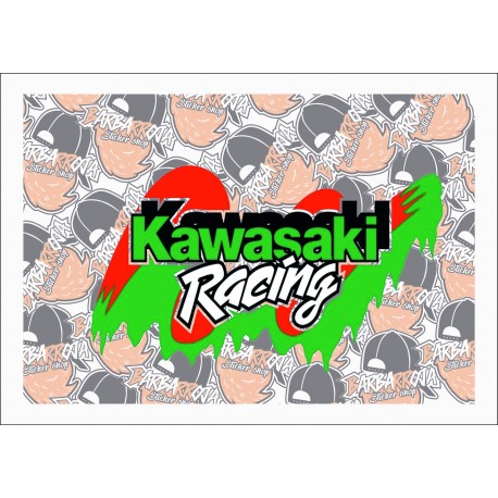 KAWASAKI RACING