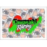 KAWASAKI RACING