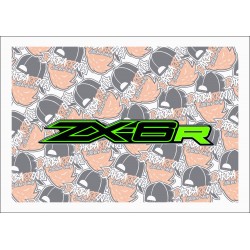 ZX-6R