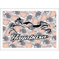 HAYABUSA