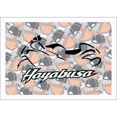 HAYABUSA