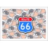 ROUTE 66