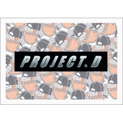 SLAP PROJECT D