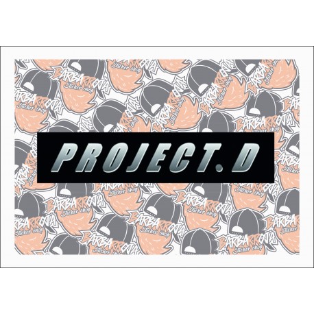 SLAP PROJECT D