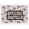 BECAUSE RACECAR