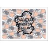 GALICIA TERRA DE RALLIES