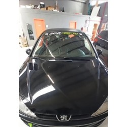 PARASOL PEUGEOT 206 GTI