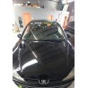 PARASOL PEUGEOT 206 GTI