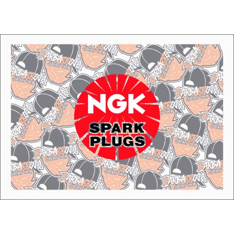 NGK SPARK PLUGS NGK SPARK PLUGS