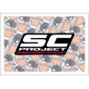 SC PROJECT