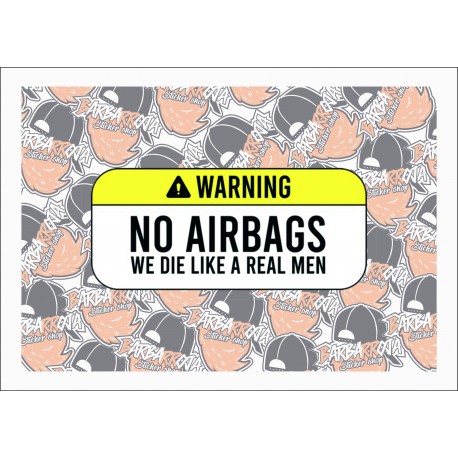 ADVERTENCIA NO AIRBAGS