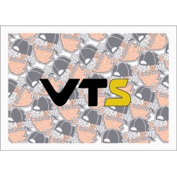 VTS