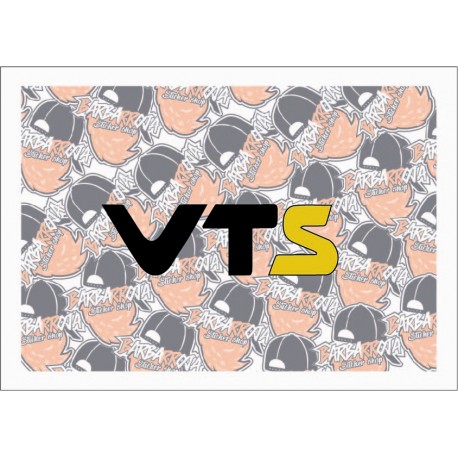 VTS