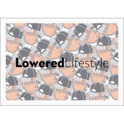 LOWERED LIFESTYLE