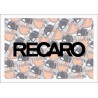 RECARO