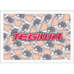 TEGIWA