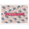 TEGIWA