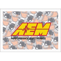 AEM PERFORMANCE ELECTRONICS