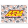 AEM PERFORMANCE ELECTRONICS