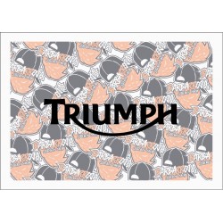 TRIUMPH