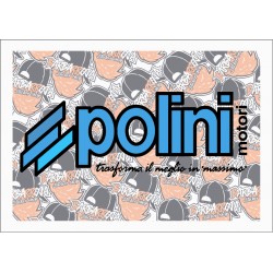 POLINI MOTORI