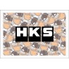 HKS