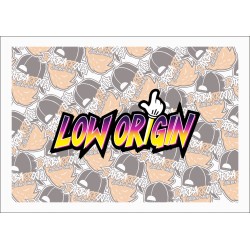 LOW ORIGIN