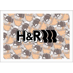 H&R