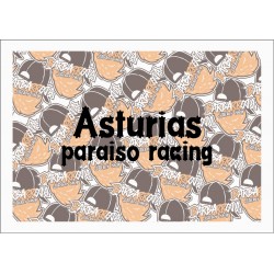 ASTURIAS PARAISO RACING