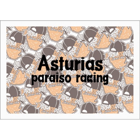 ASTURIAS PARAISO RACING
