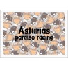 ASTURIAS PARAISO RACING