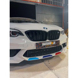 ROMBOS DELANTEROS BMW M2 PERFORMANCE