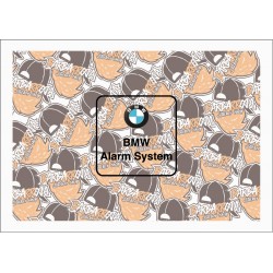 BMW ALARM SYSTEM