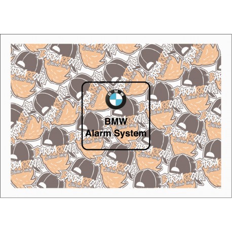 BMW ALARM SYSTEM