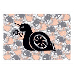 Turbo Caracol