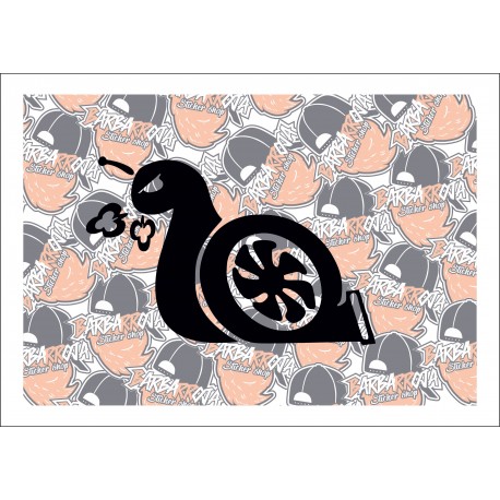 Turbo Caracol Turbo Caracol