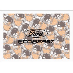 FORD ECOBEAST