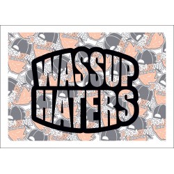 Wassup Haters