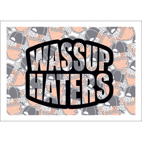 Wassup Haters Wassup Haters