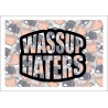 Wassup Haters