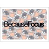 Because Focus