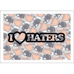 I love Haters