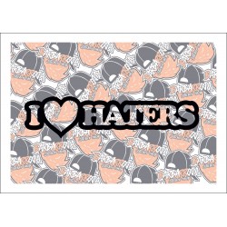 I love Haters